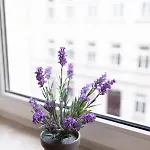 Bright, Cozy, Well Located At Alaunpark-neustadt דירה