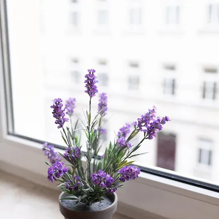 Bright, Cozy, Well Located At Alaunpark-neustadt Apartment