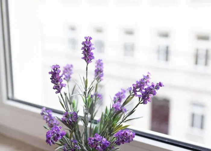 Bright, Cozy, Well Located At Alaunpark-neustadt Апартаменты