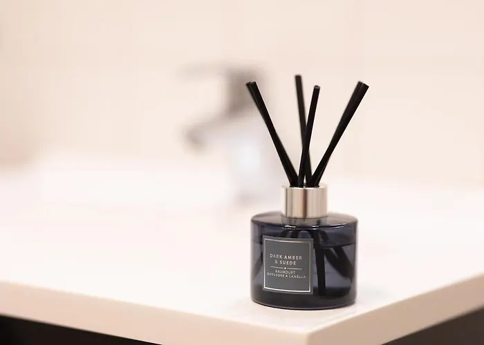 Appartement Bright, Cozy, Well Located At Alaunpark-neustadt Dresde